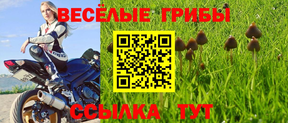 Галлюциногенные грибы GOLDEN TEACHER  Вход с VPN  даркнет сайт  Урай  Галлюциногенные грибы Cubensis 